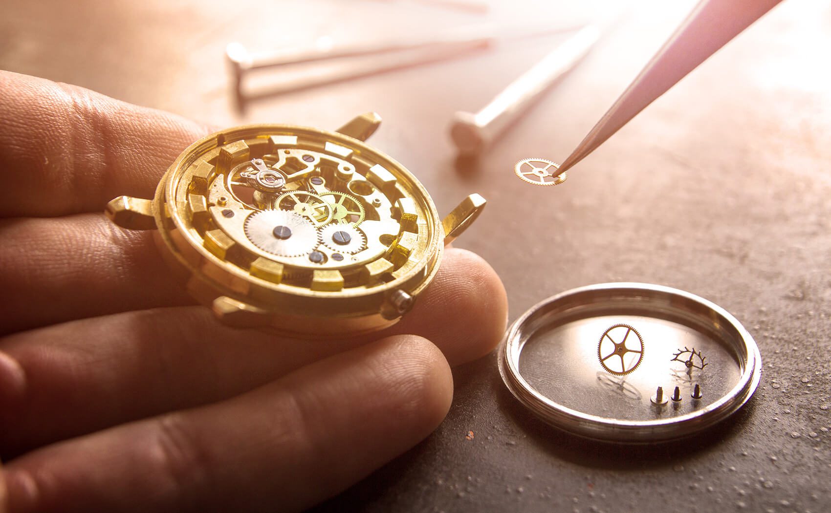 Wristwatch Repair 101 Image Showing Wristwatch Movement