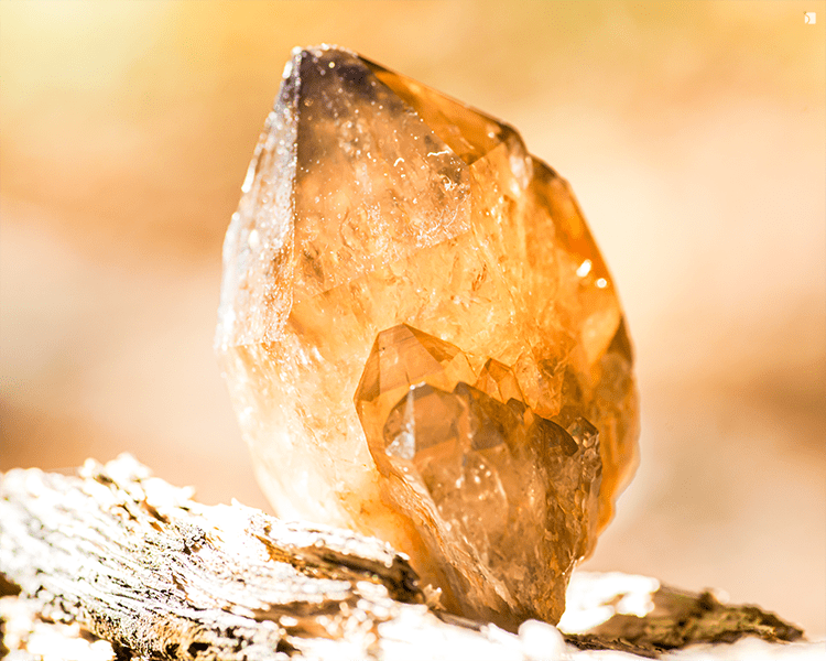 Raw Uncut Deep Citrine Colored Gemstone On Bark Feature Image