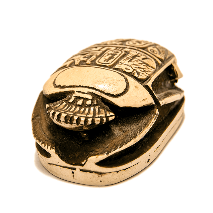 Egyptian scarab beetle