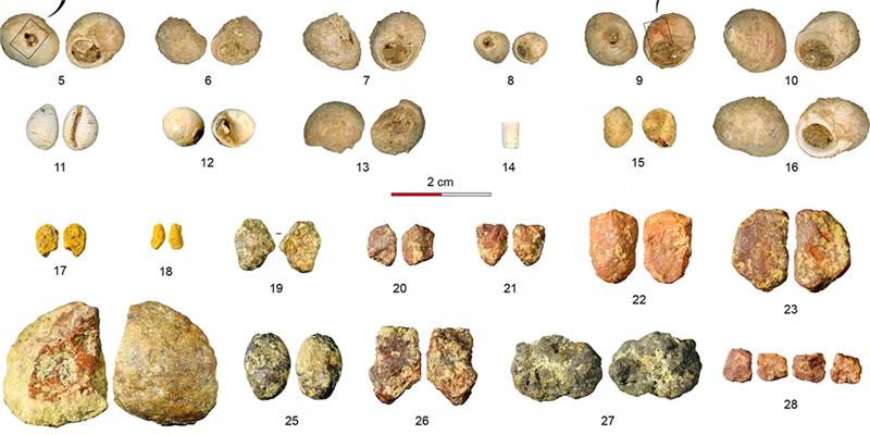 42,000-year-old Shell Jewelry Discovered in France