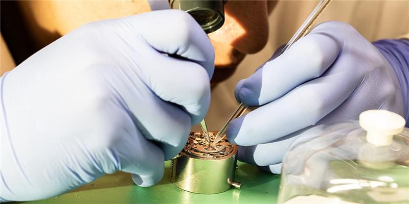 Certified Watchmaker Performing Authorized Services on Breitling Chronomat Watch